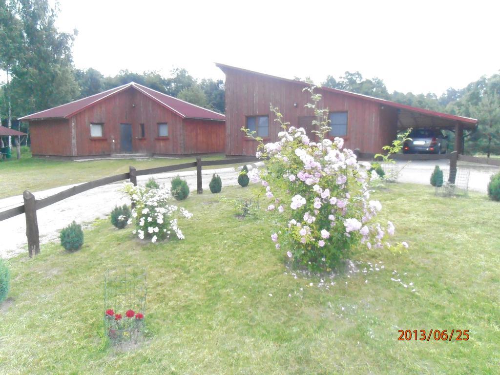 Globepark Pension Mazonai Buitenkant foto
